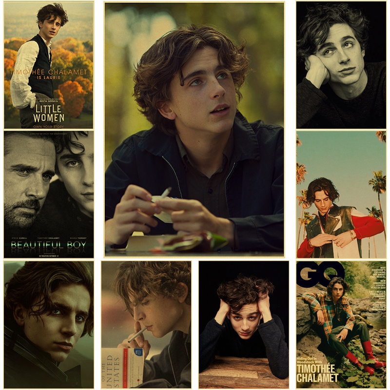Timothee Chalamet 레트로 캔버스 회화 포 - Home Bar And Theater 리뷰 및 가격